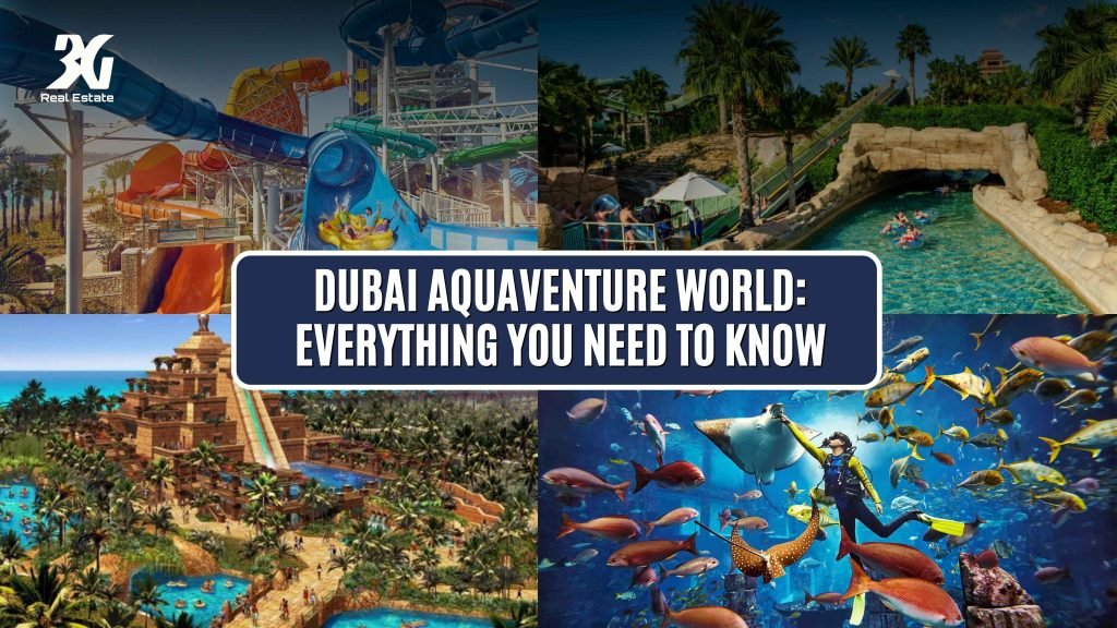Dubai Aquaventure World Everything You Need to Know